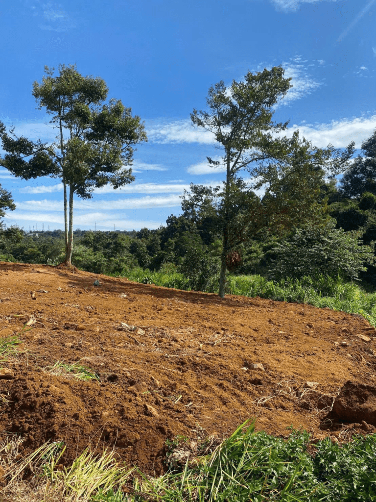 Đất vườn giá rẻ Bảo Lộc