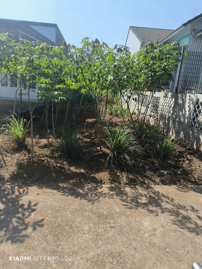 Đất vườn giá rẻ Bảo Lộc