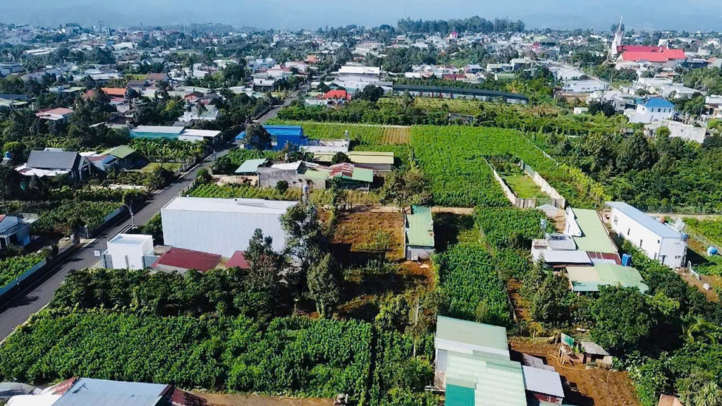 Mua đất giá rẻ tại Bảo Lộc