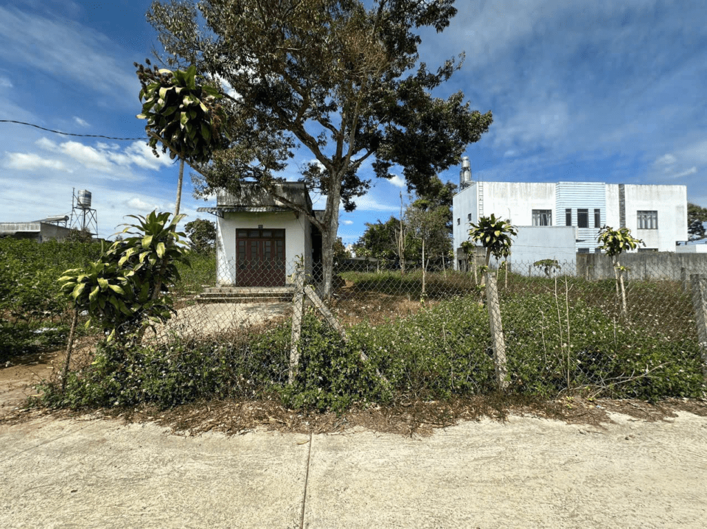 Mua đất giá rẻ tại Bảo Lộc