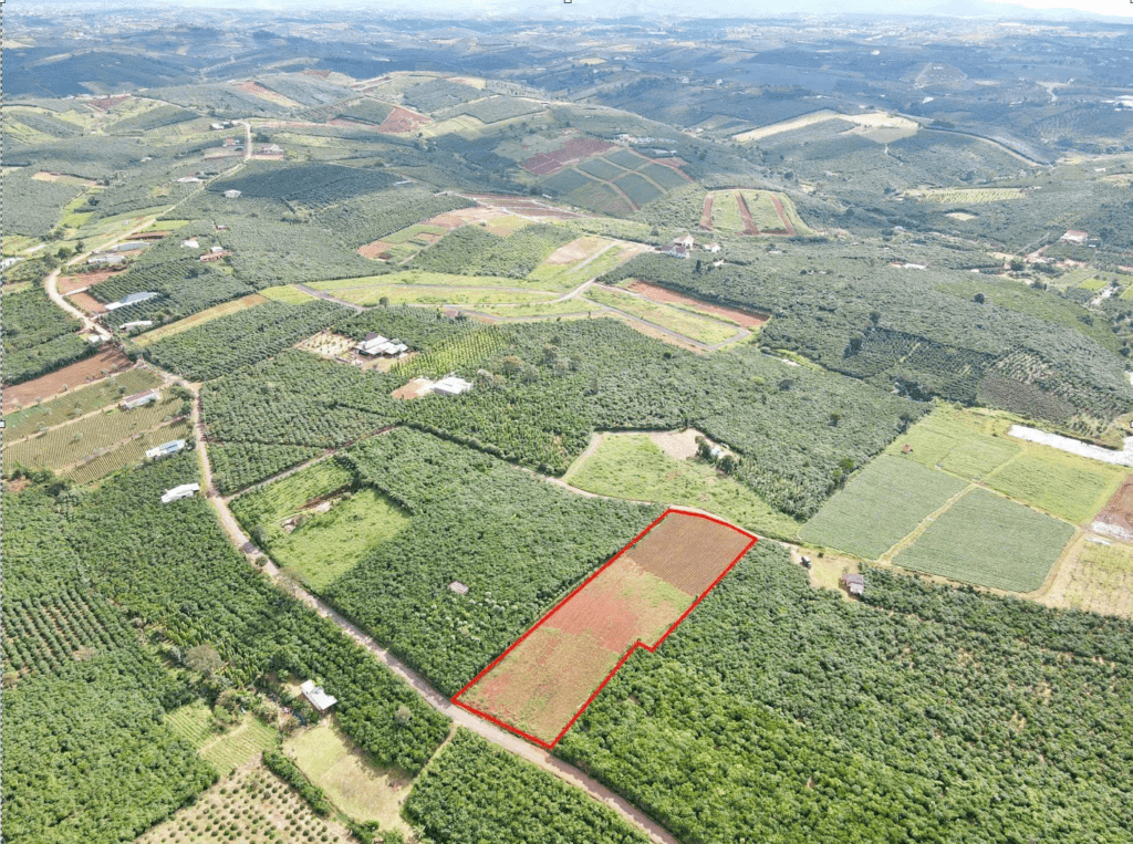 Mua đất giá rẻ tại Bảo Lộc