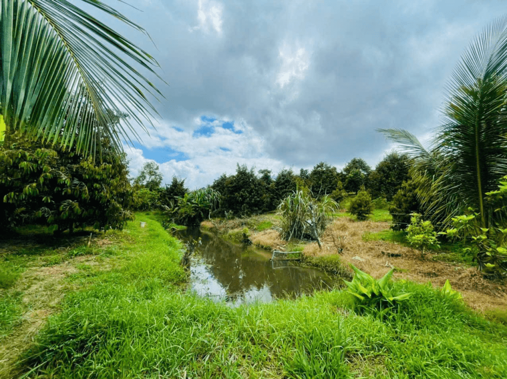 Mua đất giá rẻ tại Bảo Lộc