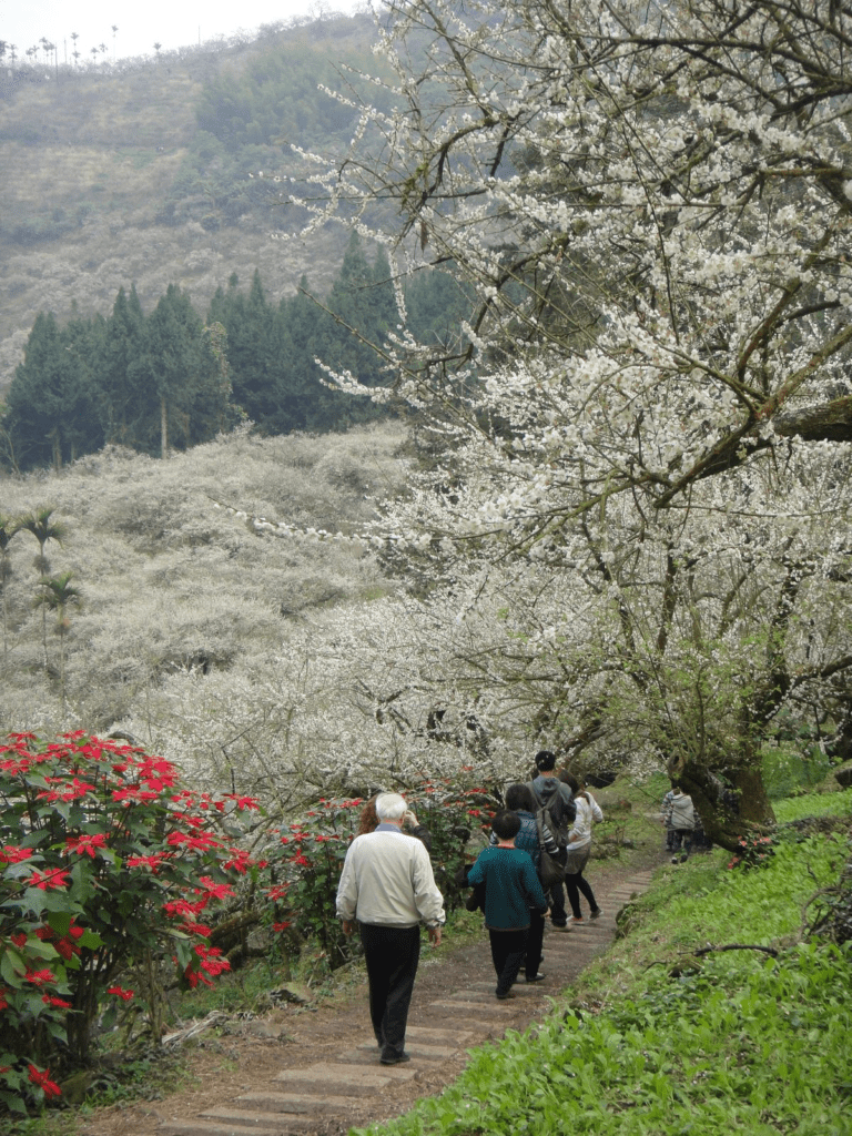 Hình ảnh Bảo Lộc