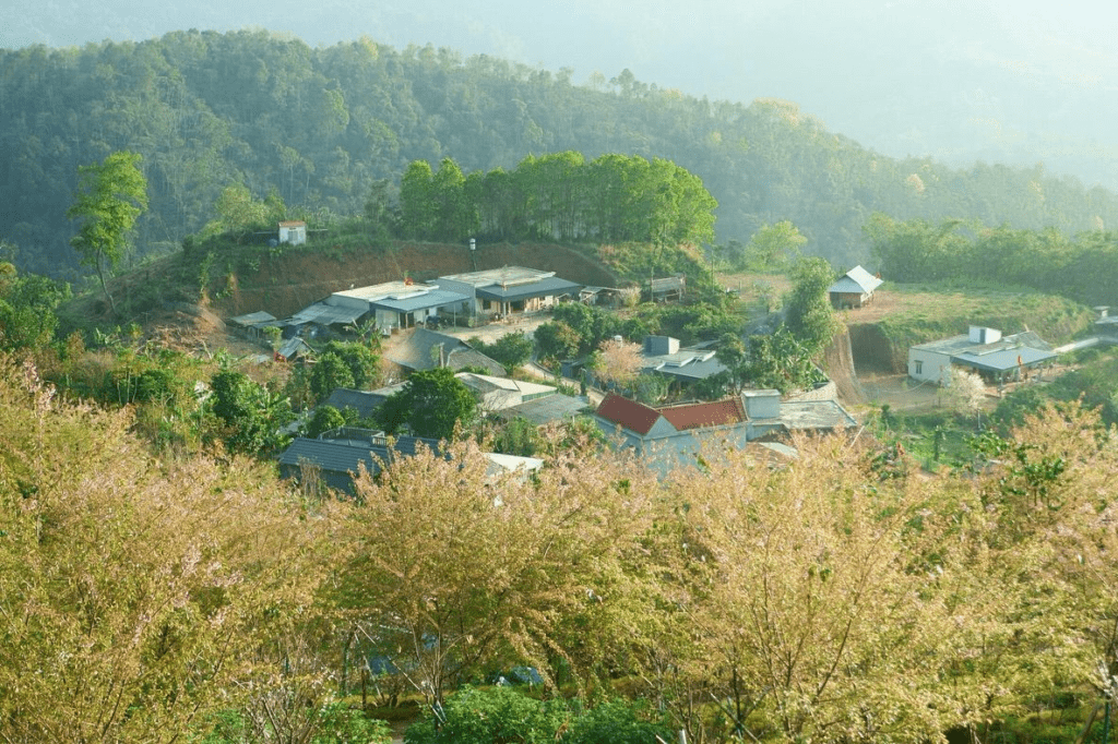 Hình ảnh Bảo Lộc