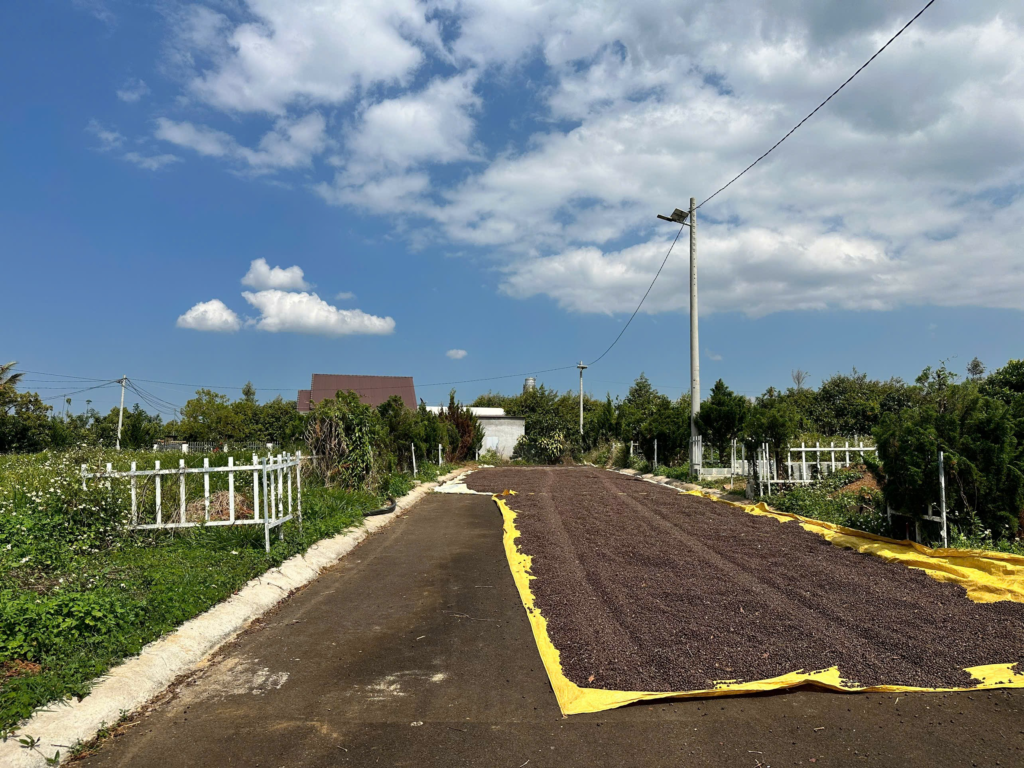 Đất Bảo Lộc dưới 1 tỷ giá rẻ