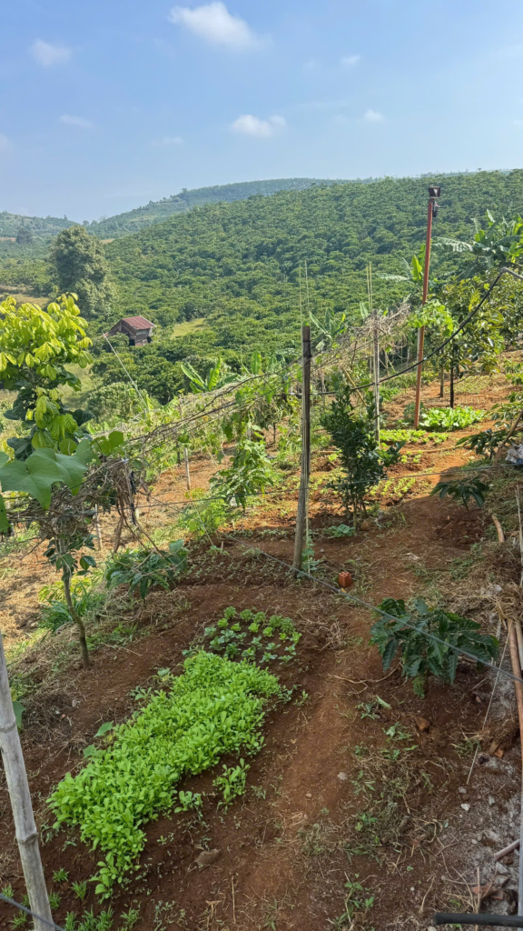 Đất Bảo Lộc dưới 1 tỷ giá rẻ