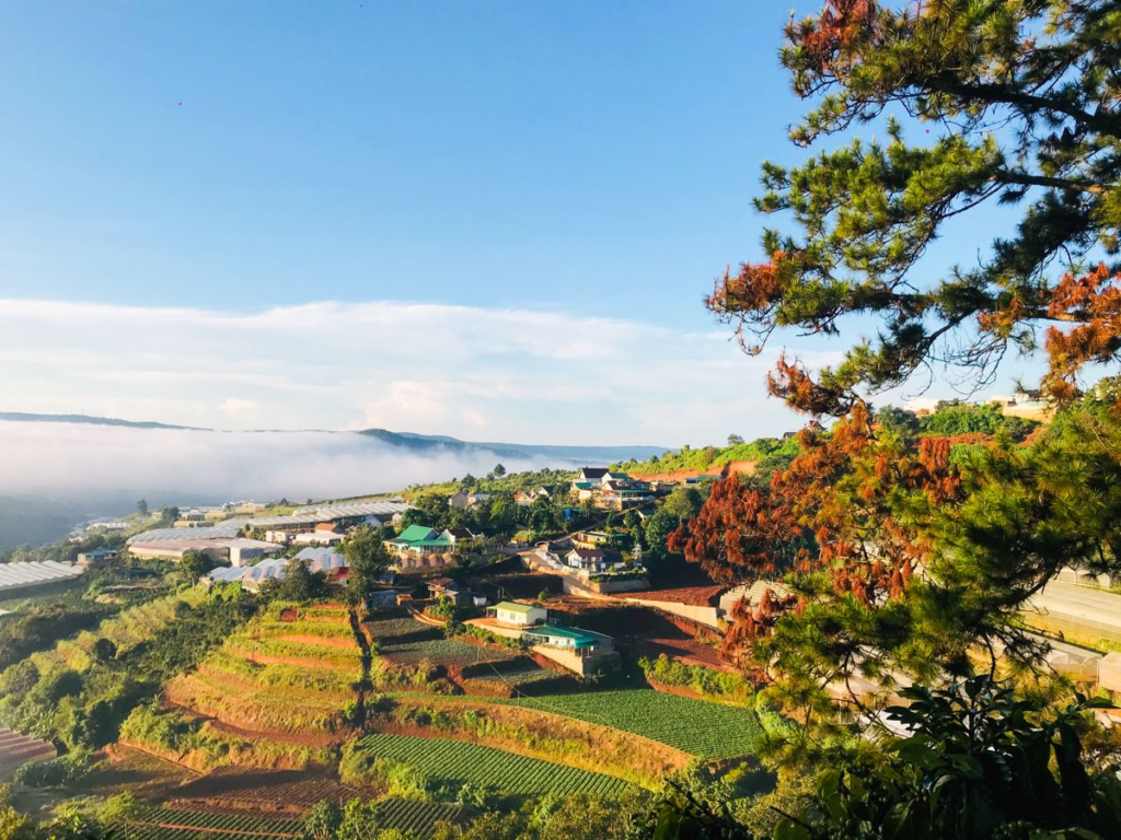 Mua đất Bảo Lộc cần xem kĩ quy hoạch gì