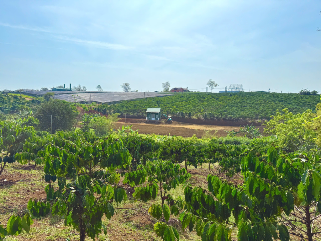 Đất nền Bảo Lộc dưới 1 tỷ