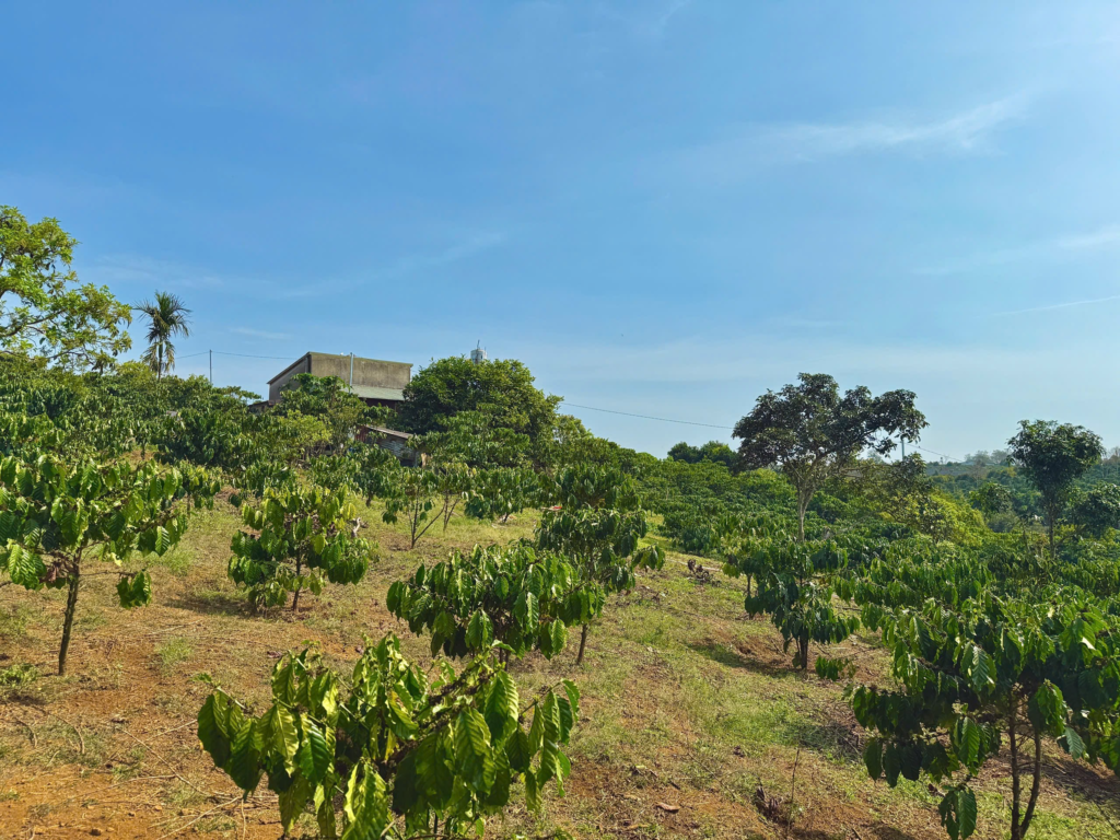 Đất nền Bảo Lộc dưới 1 tỷ