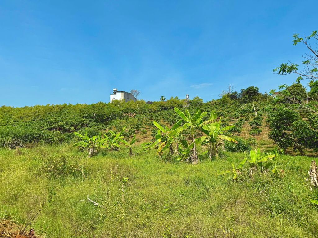 Đất nền Bảo Lộc dưới 1 tỷ