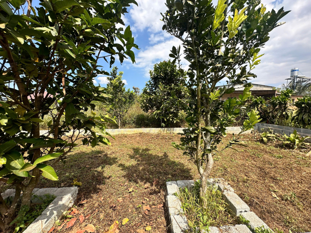 Đất nền Bảo Lộc dưới 1 tỷ