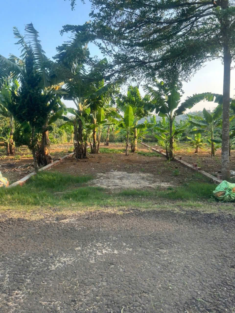 Đất nền Bảo Lộc dưới 1 tỷ