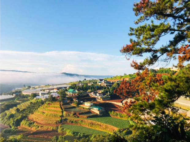 Hình ảnh đất nền Bảo Lộc view cao