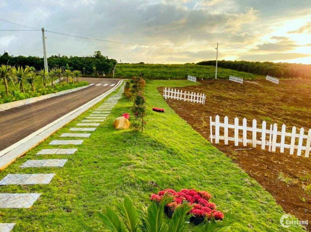 Hình ảnh đất nền Bảo Lộc