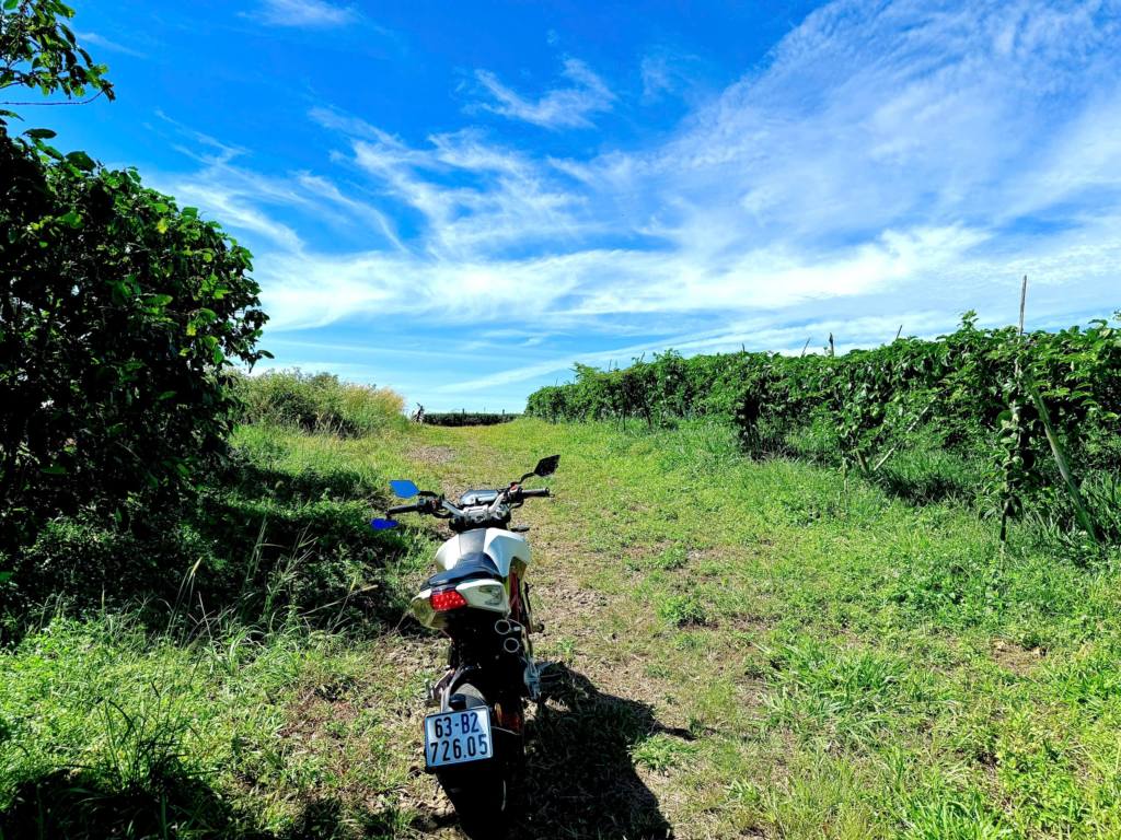 Đất trung tâm Bảo Lộc dưới 1 tỷ 