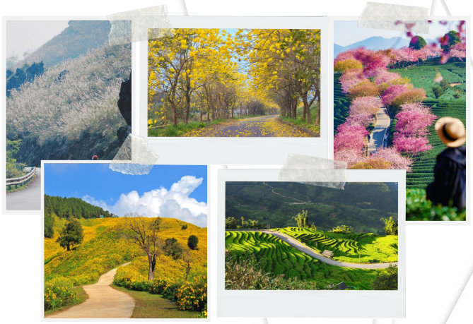 Những cung đường đẹp nhất ở Bảo Lộc