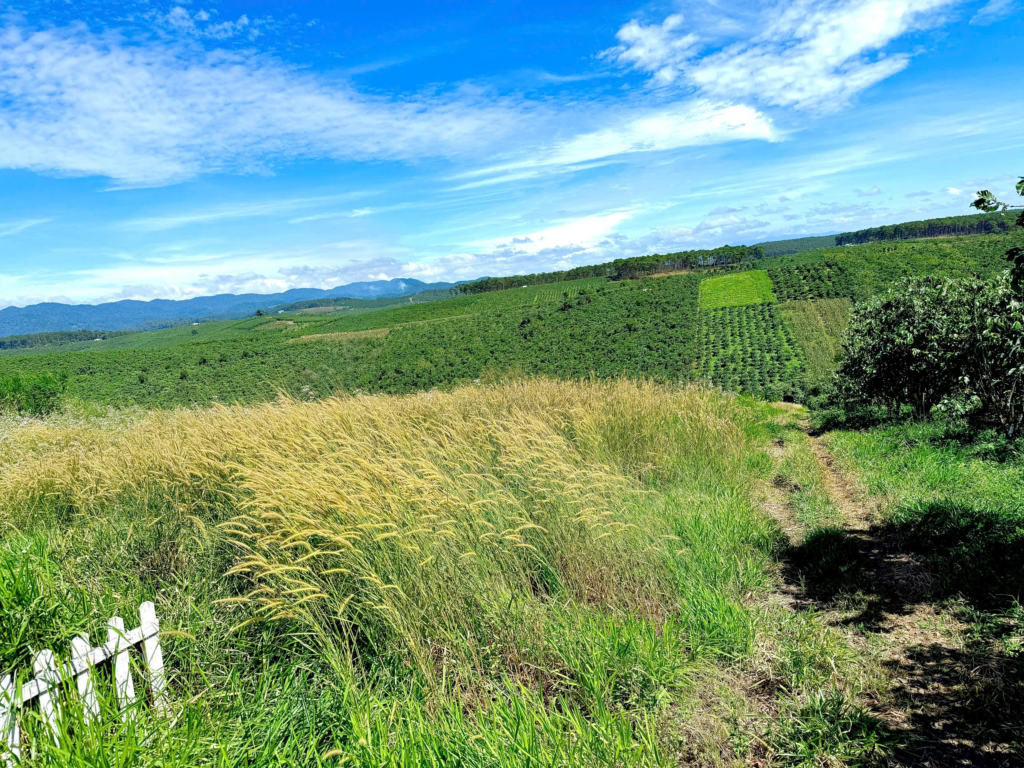 Bán đất nền sẵn thổ cư ở Bảo Lộc