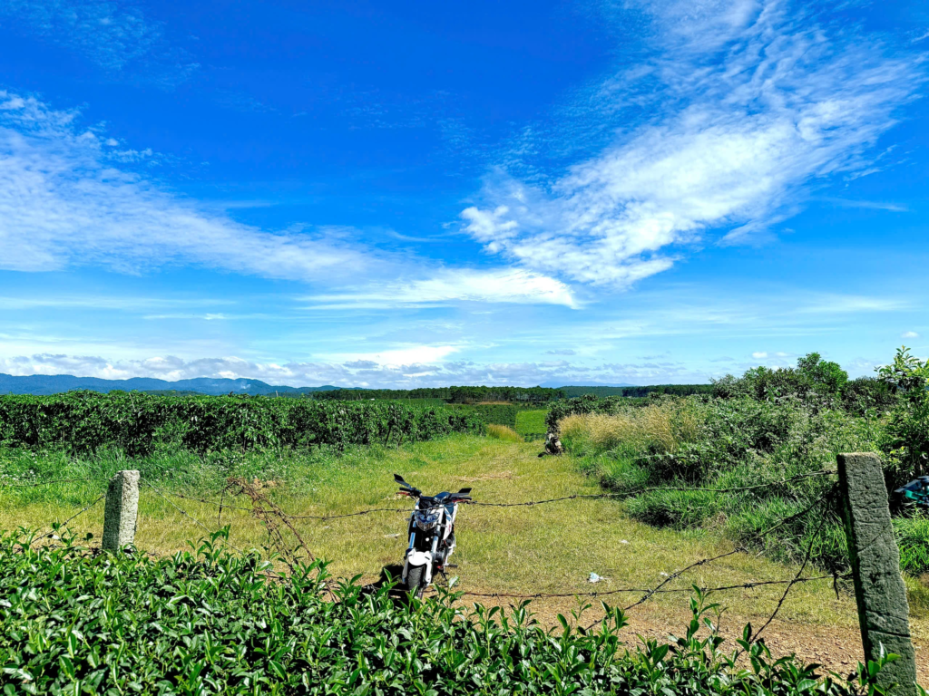 Bán đất nền sẵn thổ cư ở Bảo Lộc