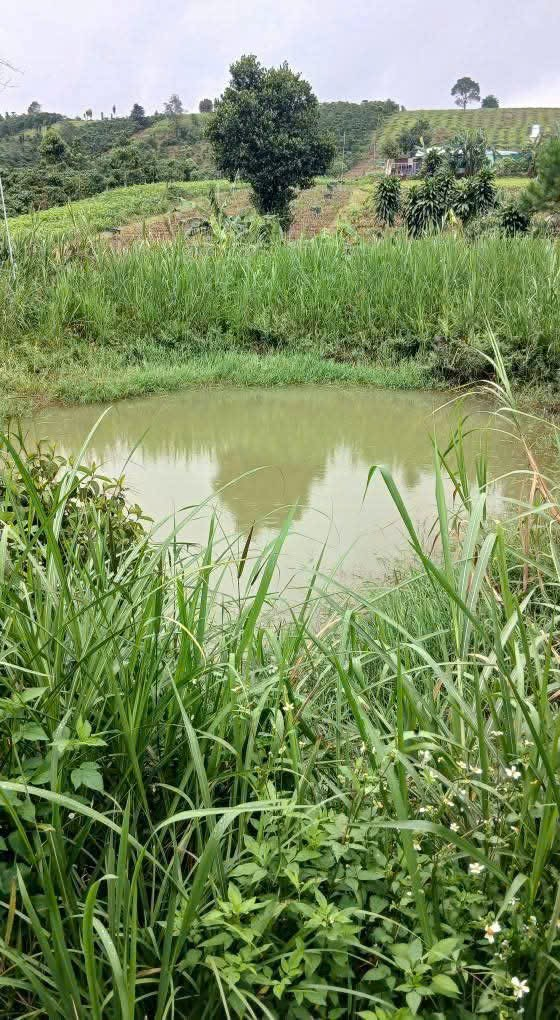 Bán đất nền sẵn thổ cư ở Bảo Lộc