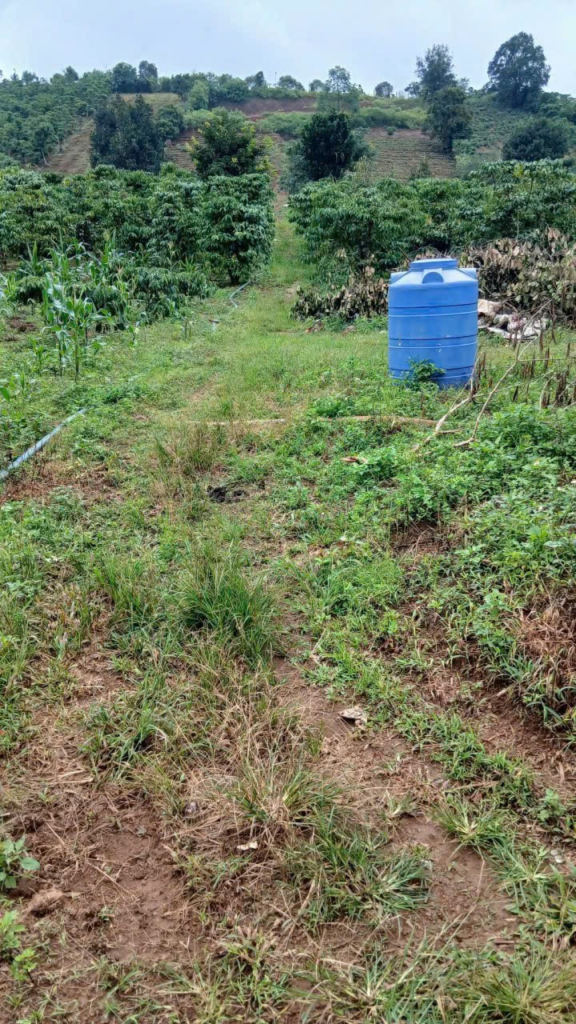 Bán đất nền sẵn thổ cư ở Bảo Lộc