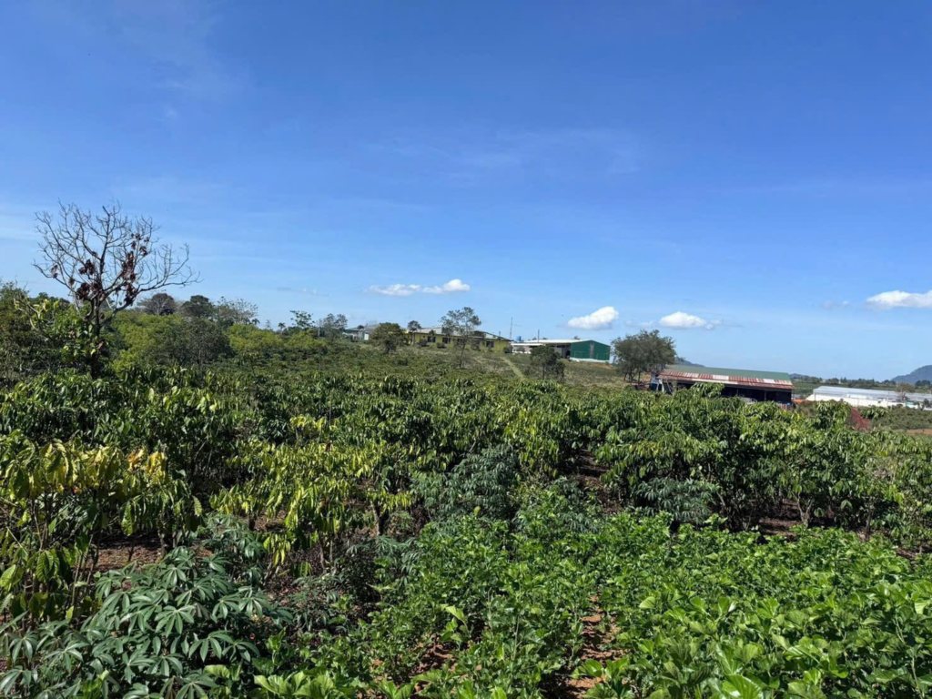 Bán đất nền sẵn thổ cư ở Bảo Lộc