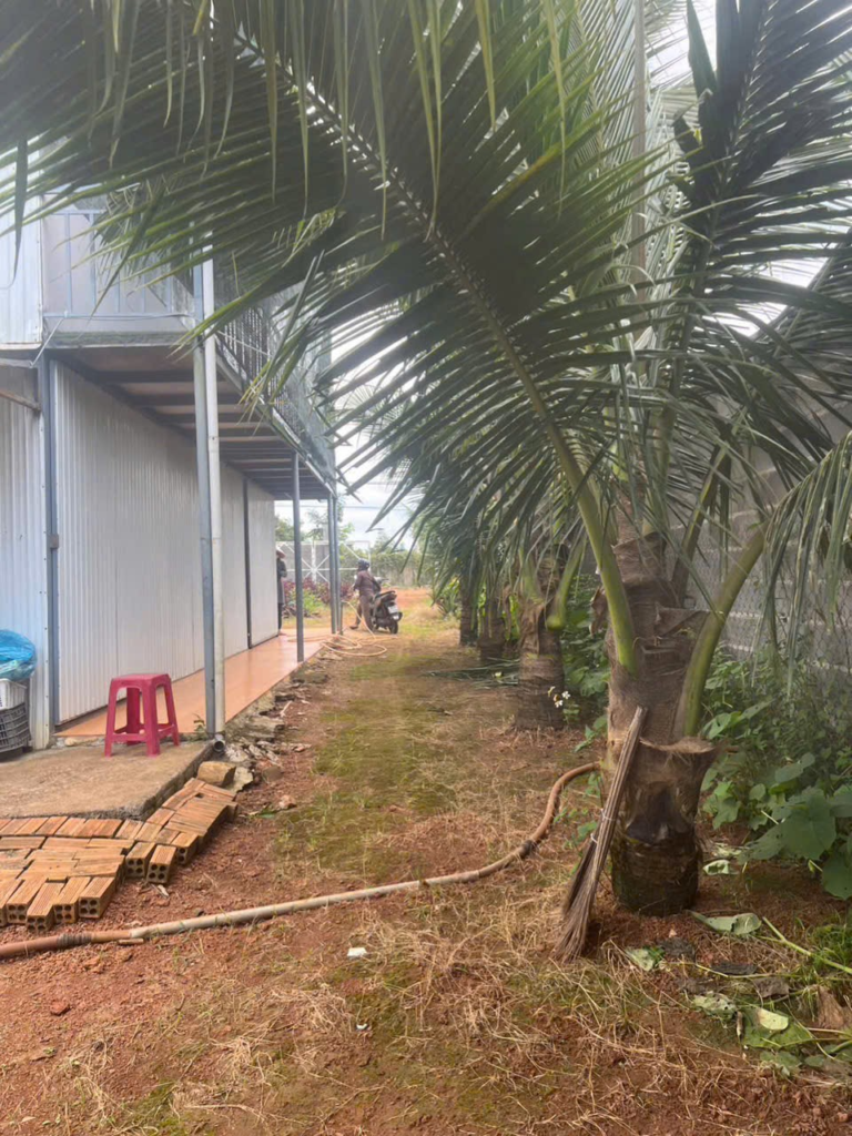 Đất giá rẻ sẵn thổ cư trung tâm Bảo Lộc