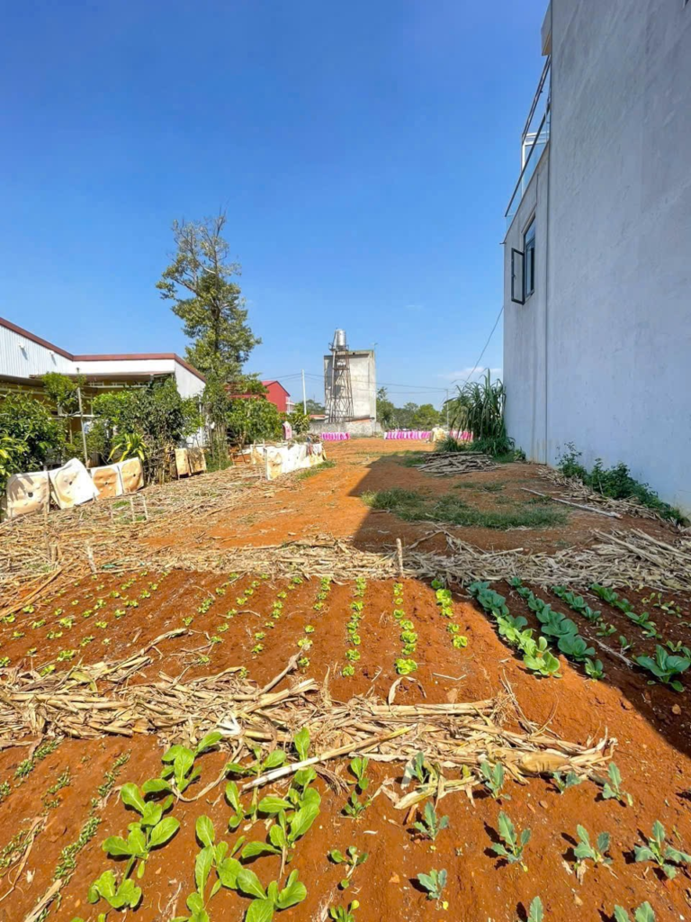 Đất rẻ sẵn thổ cư trung tâm Bảo Lộc