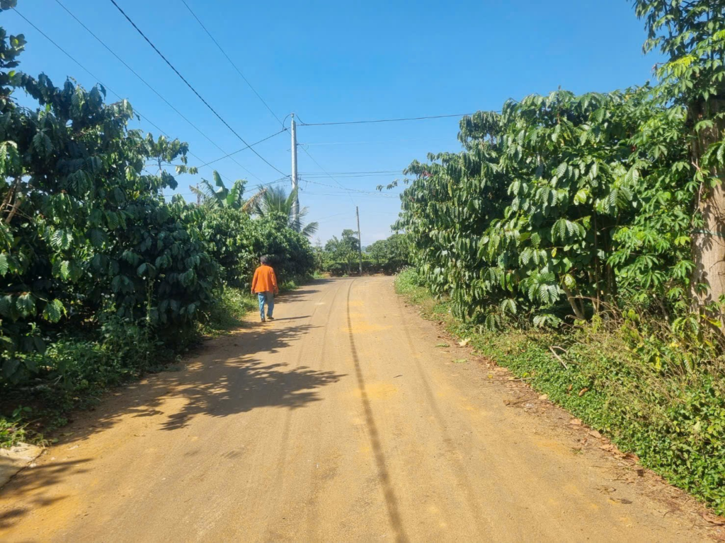 Đất rẻ sẵn thổ cư trung tâm Bảo Lộc