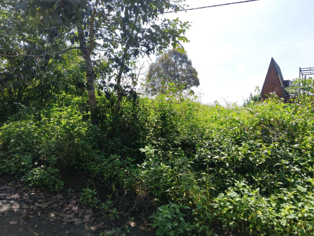 Đất nền sẵn thổ cư trung tâm Bảo Lộc