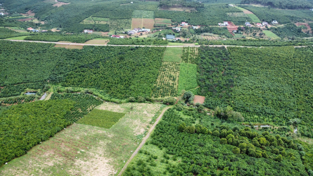 Đất nền sẵn thổ cư trung tâm Bảo Lộc