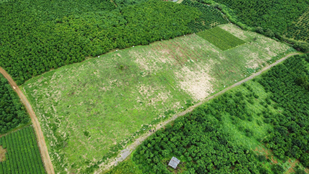 Đất nền sẵn thổ cư trung tâm Bảo Lộc