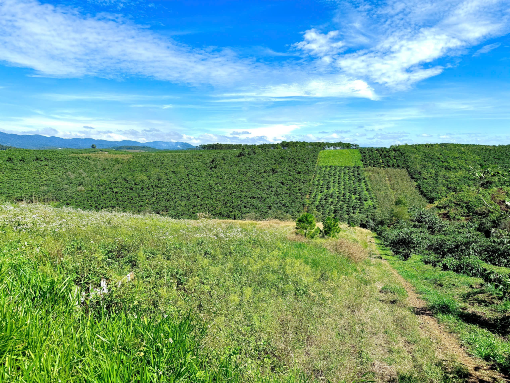 Đất nền sẵn thổ cư trung tâm Bảo Lộc