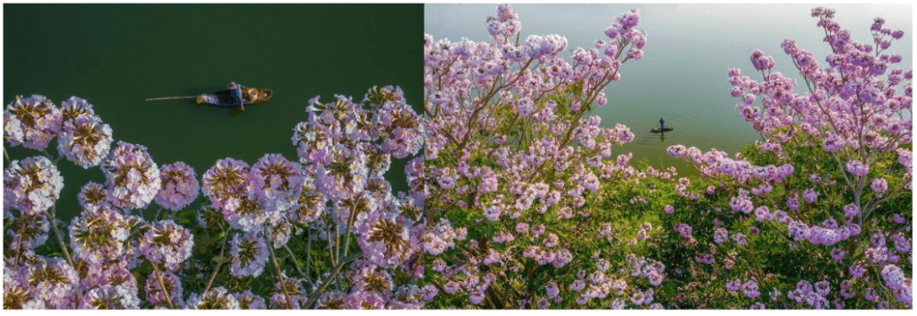 Hình ảnh Ven hồ, sườn đồi