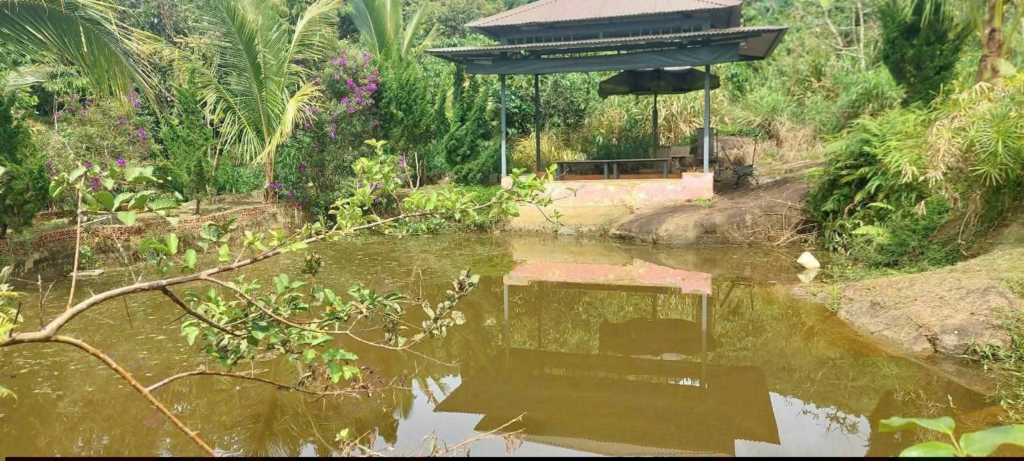 Đất nền sẵn thổ cư trung tâm Bảo Lộc