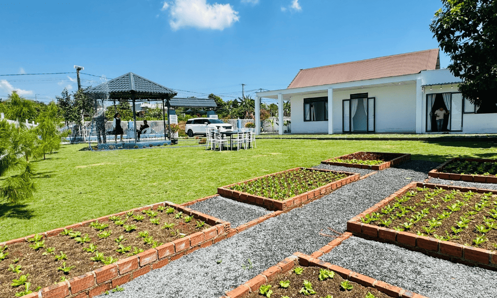 Quy trình mua đất tại Bảo Lộc