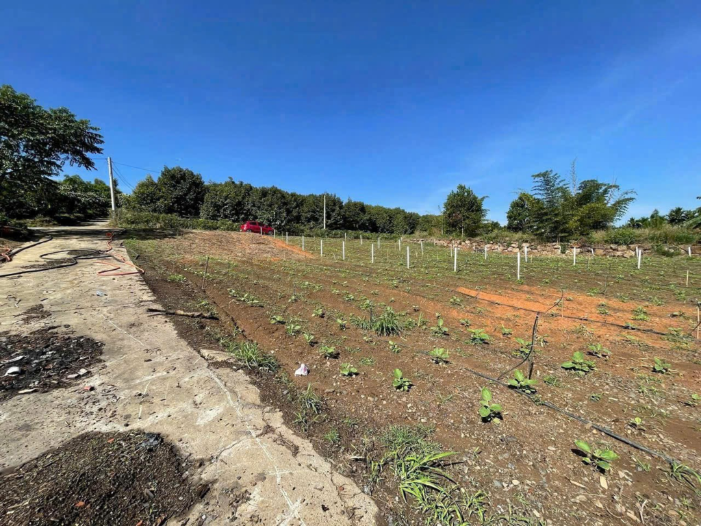 Đất nền giá rẻ tại Bảo Lộc