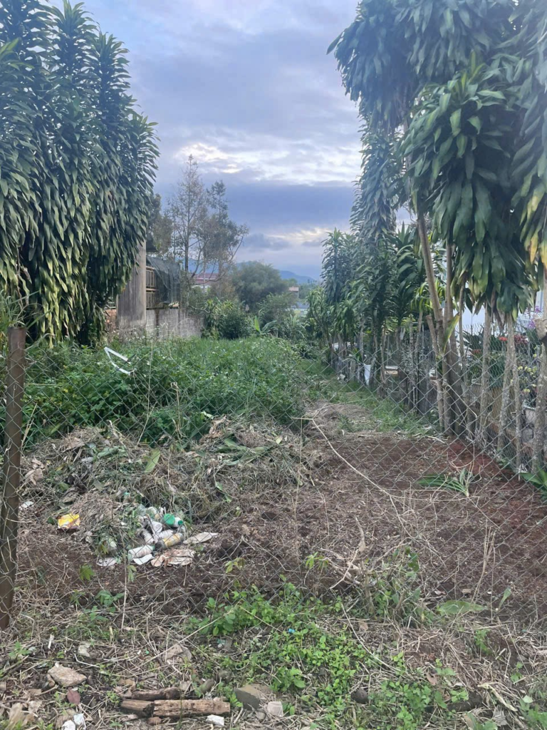 Đất nền giá rẻ tại Bảo Lộc