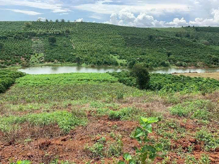 Đất nền giá rẻ tại Bảo Lộc