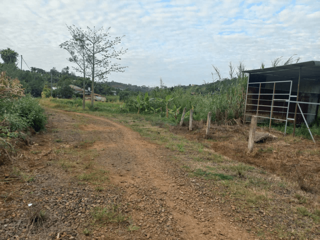 Mua đất giá rẻ trung tâm Bảo Lộc