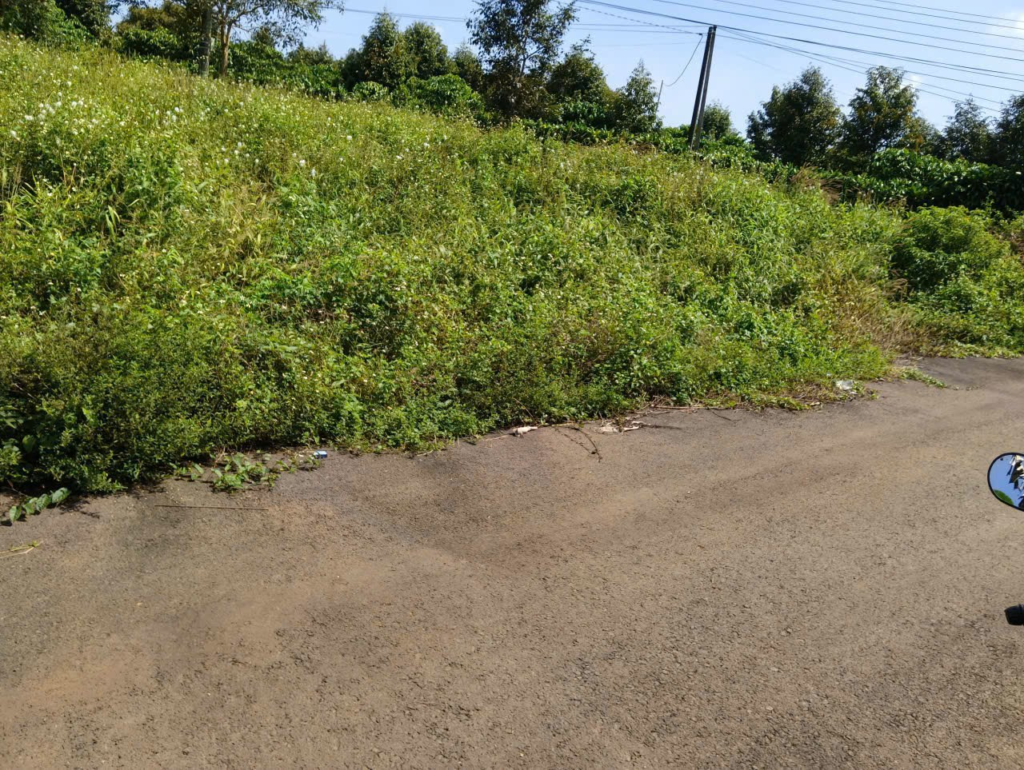 Đất nền giá rẻ tại Bảo Lộc