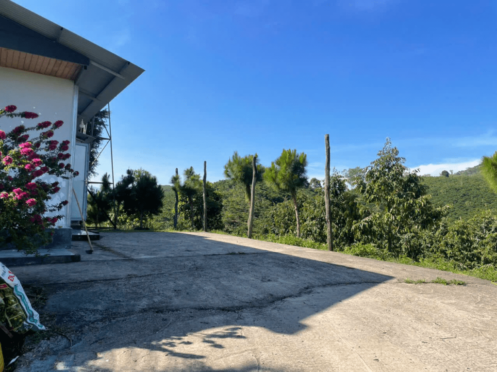 Mua đất giá rẻ trung tâm Bảo Lộc