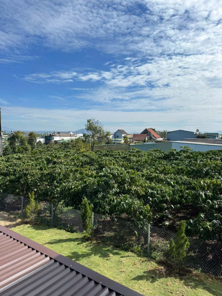 Đất nền sẵn thổ cư tại Bảo Lộc