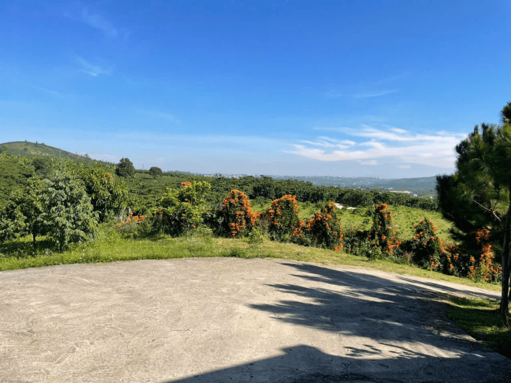 Mua đất giá rẻ trung tâm Bảo Lộc