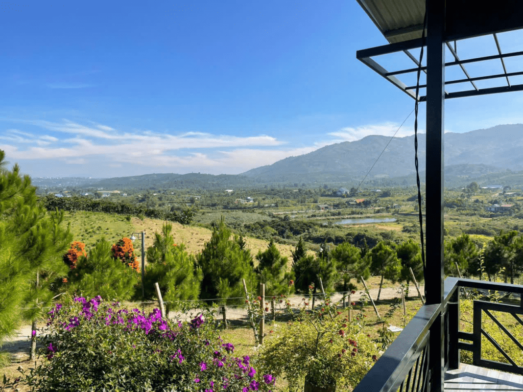 Mua đất giá rẻ trung tâm Bảo Lộc