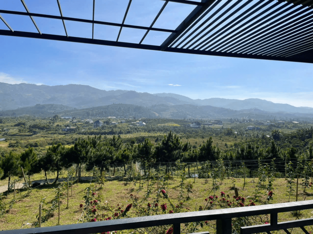 Mua đất giá rẻ trung tâm Bảo Lộc