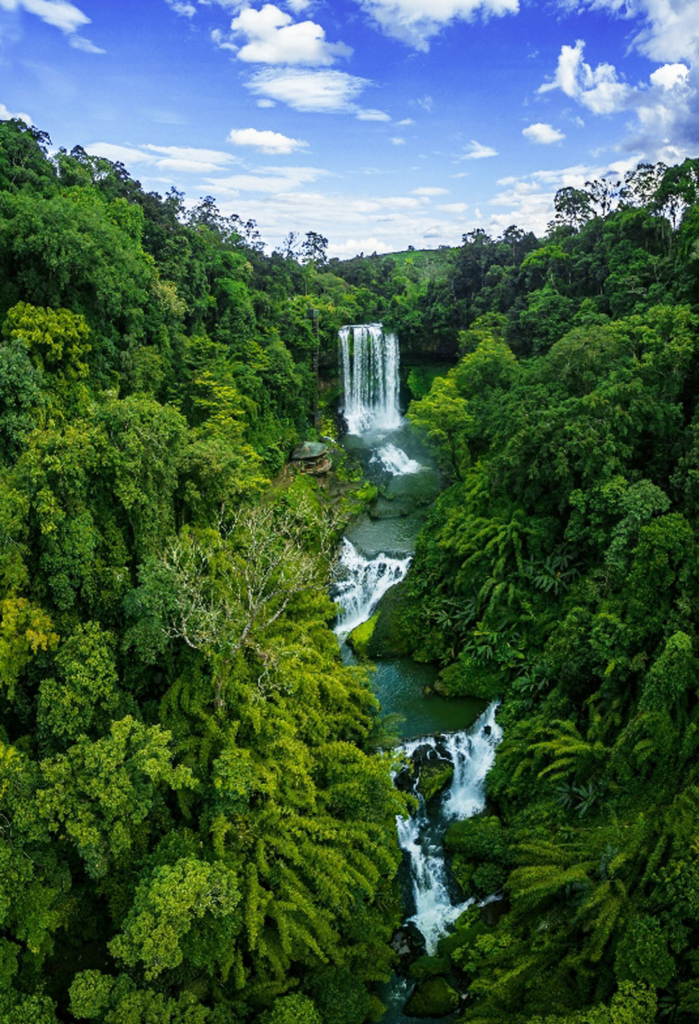 Hình ảnh thác Dambri