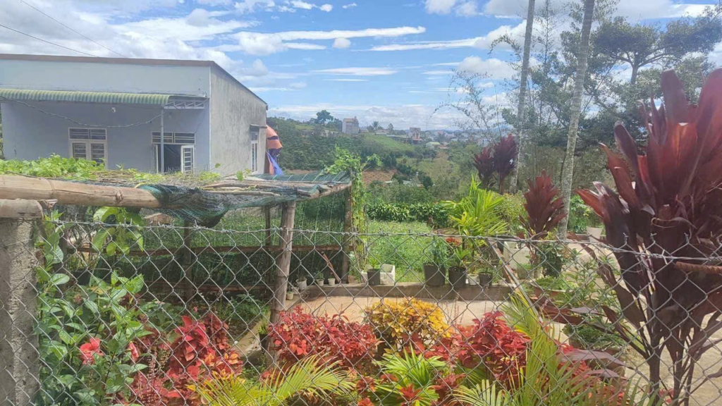 Bán đất giá rẻ 1 tỷ trung tâm Bảo Lộc