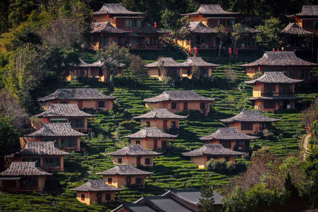 Hình ảnh Homestay đồi chè