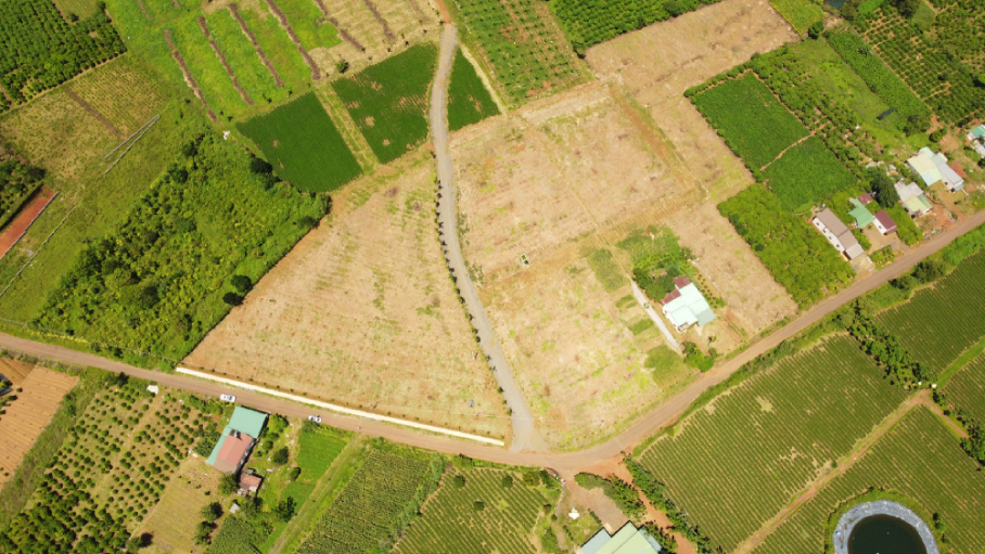 Bảng giá đất mới nhất 2026 tại Lâm Đồng