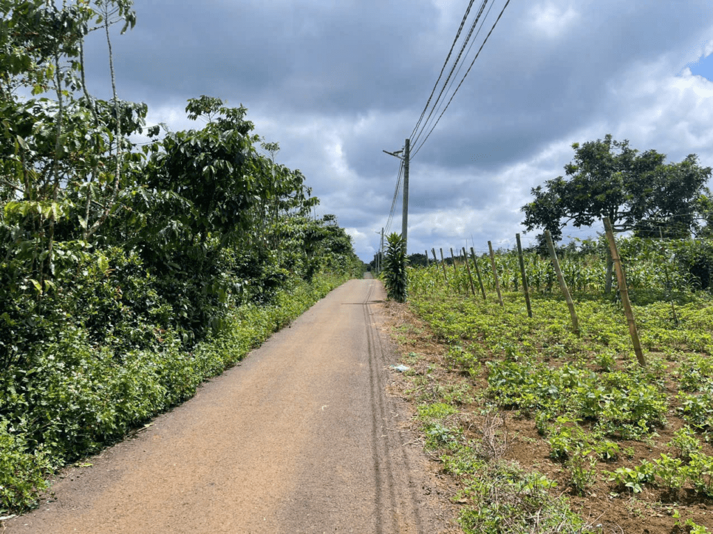 Mua đất trung tâm Bảo Lộc